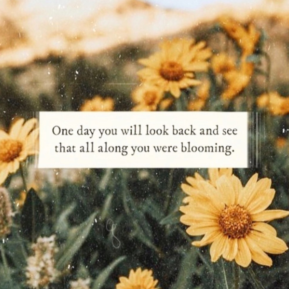 👏🏽🌻💫🌾